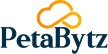 PetaBytz L1/L2 Support Services: Empowers Your Business with Efficient Technical Assistance - Download