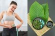 Kratom Powder for Weight Loss: Harnessing Its Potential