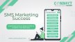 SMS Marketing Success: Exploring Various Approaches to Amplify Your Business