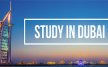 Best Study Abroad Consultants in Dubai 