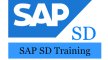 SAP SD Training Course in Gurgaon 