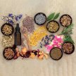 The Many Benefits of Natural Herbal Products, and How to Take Advantage of Them