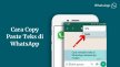 5 Cara Copy Paste Chat WhatsApp di Semua Perangkat