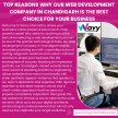 Top Reasons Why Our Web Development Company in Chandigarh is the Best Choice for Your Business