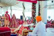 What do you need to do to find a Sikh partner in Canada?