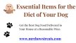 Essential Items for the Diet of Your Dog