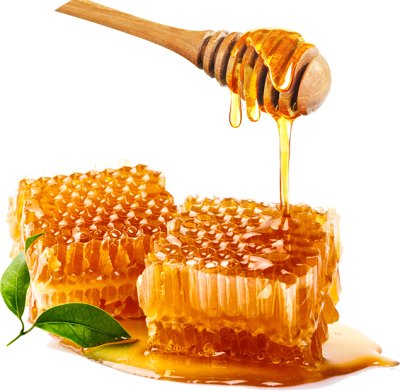 Buy Best Organic, Pure and Natural Honey in India - Ghanshyam Honey