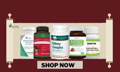 6 Essential Supplements for Optimal Kidney Function