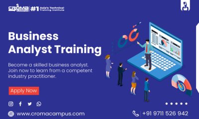 Best Job Roles with Business Analyst Training