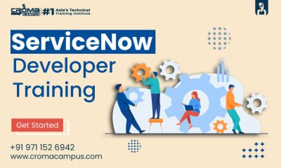 What is ServiceNow: Roles & Responsibilities of a ServiceNow Developer?  