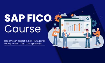 Cost accounting data in FICO