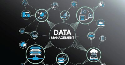 Data Management Advertising Software: An Essential Tool for Successful Digital Advertising Campaigns